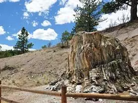 Florissant Fossil Beds National Monument website