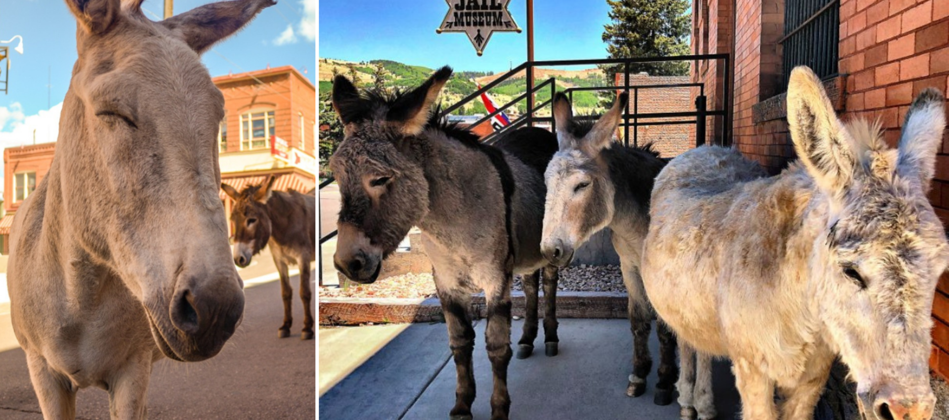 Home Page | Cripple Creek, CO
