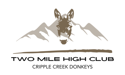 Two Mile High Club Website