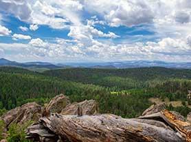 Mueller State Park website